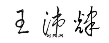 駱恆光王沛輝草書個性簽名怎么寫