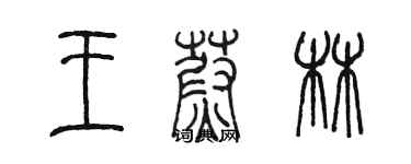 陳墨王蔚林篆書個性簽名怎么寫