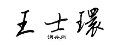 王正良王士環行書個性簽名怎么寫