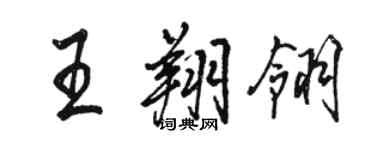 駱恆光王翔翎行書個性簽名怎么寫