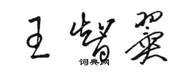 駱恆光王智翼草書個性簽名怎么寫