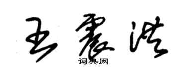 朱錫榮王震洪草書個性簽名怎么寫