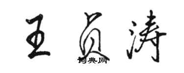 駱恆光王貞濤行書個性簽名怎么寫