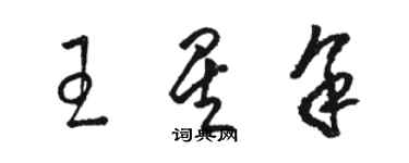 駱恆光王星余草書個性簽名怎么寫