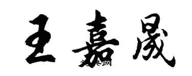 胡問遂王嘉晟行書個性簽名怎么寫