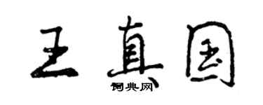 曾慶福王真國行書個性簽名怎么寫