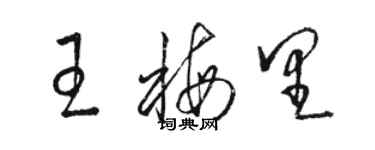 駱恆光王梅里草書個性簽名怎么寫