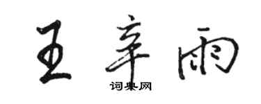 駱恆光王辛雨行書個性簽名怎么寫