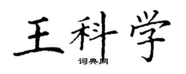 丁謙王科學楷書個性簽名怎么寫