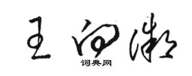 駱恆光王向微草書個性簽名怎么寫