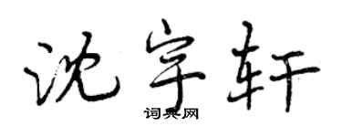 曾慶福沈宇軒行書個性簽名怎么寫