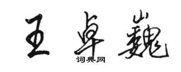 駱恆光王卓巍行書個性簽名怎么寫