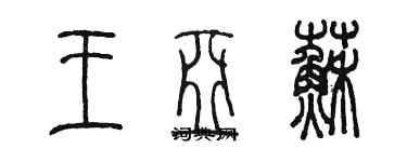 陳墨王亞蘇篆書個性簽名怎么寫