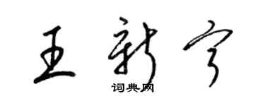 梁錦英王新寧草書個性簽名怎么寫