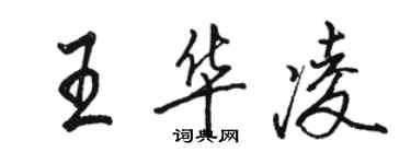 駱恆光王華凌行書個性簽名怎么寫