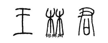 陳墨王林君篆書個性簽名怎么寫