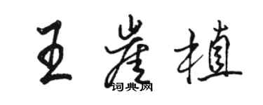駱恆光王崖植行書個性簽名怎么寫
