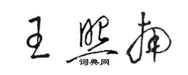 駱恆光王照南草書個性簽名怎么寫