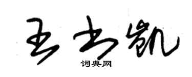 朱錫榮王書凱草書個性簽名怎么寫