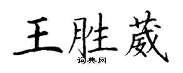 丁謙王勝葳楷書個性簽名怎么寫
