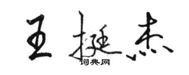 駱恆光王挺傑行書個性簽名怎么寫