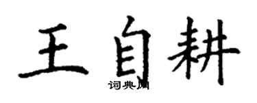 丁謙王自耕楷書個性簽名怎么寫