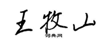 王正良王牧山行書個性簽名怎么寫