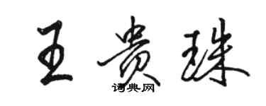 駱恆光王貴珠行書個性簽名怎么寫