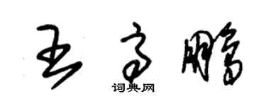 朱錫榮王高鵬草書個性簽名怎么寫