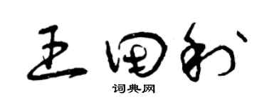 曾慶福王田利草書個性簽名怎么寫