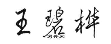 駱恆光王碧樺行書個性簽名怎么寫