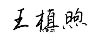 王正良王植煦行書個性簽名怎么寫