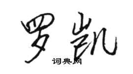 駱恆光羅凱行書個性簽名怎么寫