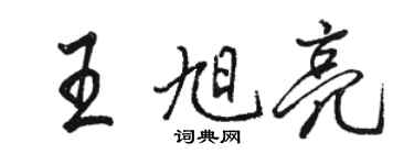 駱恆光王旭亮行書個性簽名怎么寫