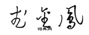 駱恆光武金鳳草書個性簽名怎么寫