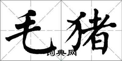 翁闓運毛豬楷書怎么寫