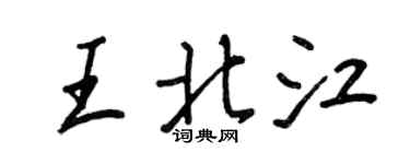 王正良王北江行書個性簽名怎么寫