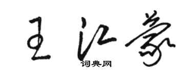 駱恆光王江蒙草書個性簽名怎么寫