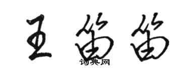 駱恆光王笛笛行書個性簽名怎么寫