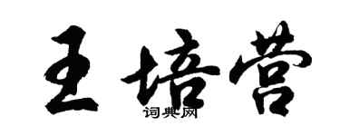 胡問遂王培營行書個性簽名怎么寫