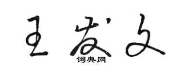 駱恆光王發文草書個性簽名怎么寫