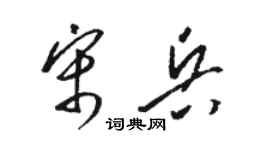 駱恆光宋兵草書個性簽名怎么寫