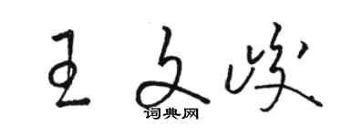 駱恆光王文峻草書個性簽名怎么寫