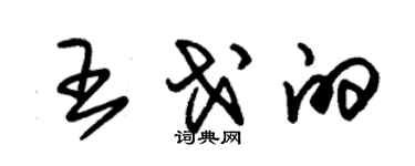 朱錫榮王戈的草書個性簽名怎么寫