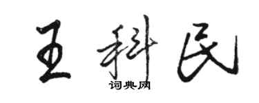 駱恆光王科民行書個性簽名怎么寫