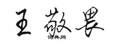 駱恆光王敬畏行書個性簽名怎么寫