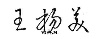 駱恆光王楊美草書個性簽名怎么寫