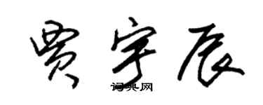 朱錫榮賈宇辰草書個性簽名怎么寫