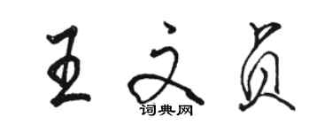 駱恆光王文貞行書個性簽名怎么寫