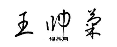 梁錦英王帥菊草書個性簽名怎么寫